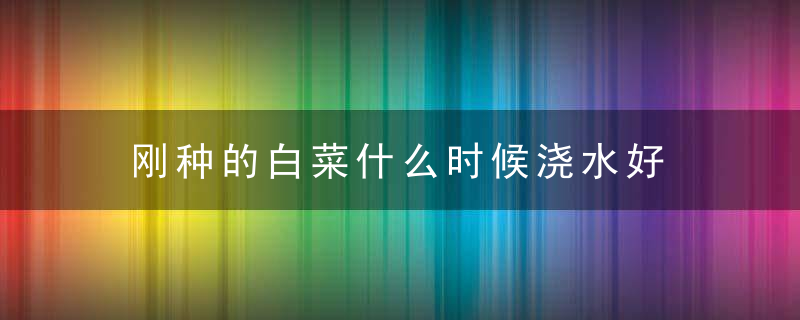 刚种的白菜什么时候浇水好 刚种的白菜哪个时间浇水好呢
